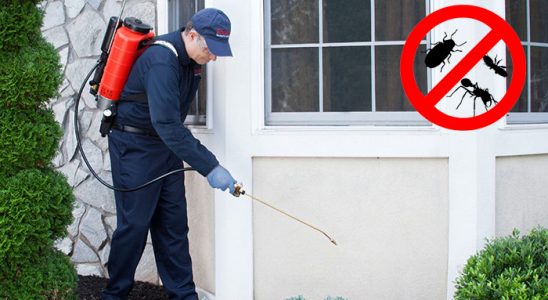 Alucra Pire İlaçlama böcek ilaçlama ve haşere kontrolü — ilaclama-tr.com